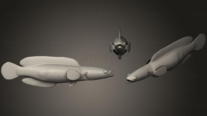 3D модель Подлая Рыба (STL)